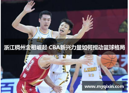 浙江稠州金租崛起 CBA新兴力量如何搅动篮球格局